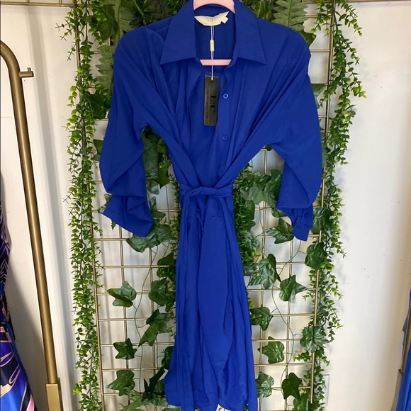Elegant Blue Women's Dress - Picture 1 of 1